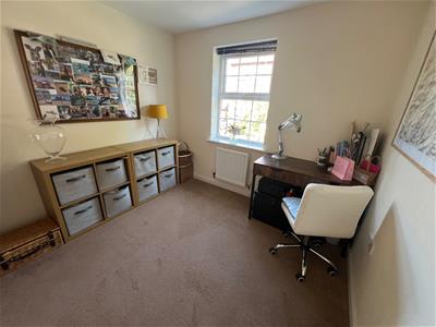 Picture 13